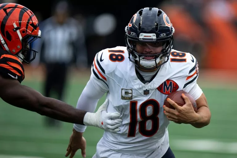 Bears vs Panthers prediction